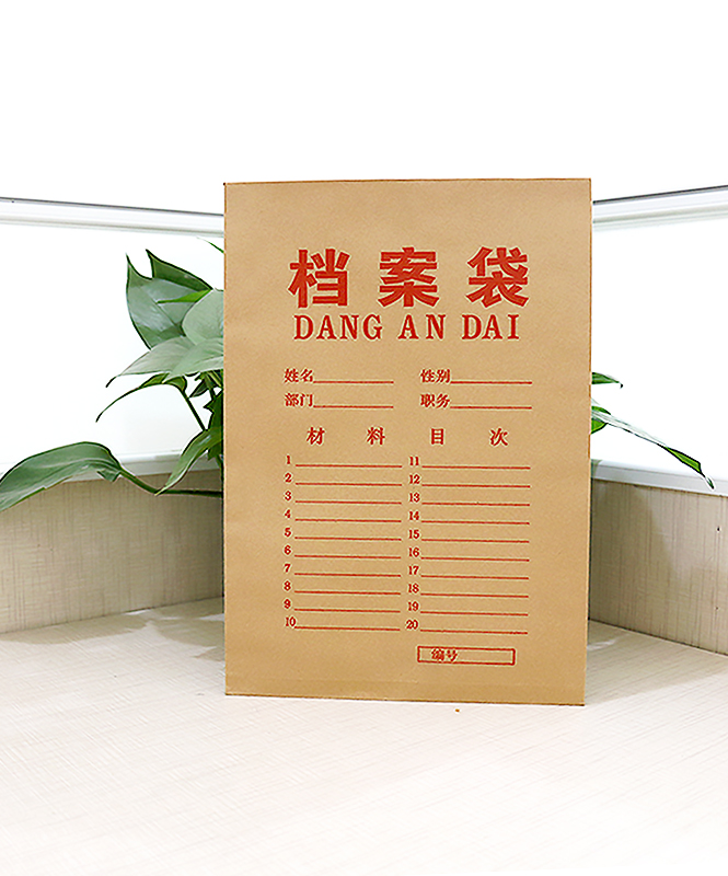 檔案袋生產(chǎn)廠家, 檔案袋多少錢(qián), 公司檔案袋_印無(wú)憂(yōu)設(shè)計(jì)印刷廠