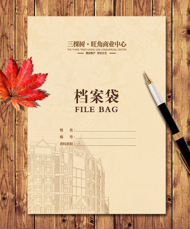 檔案袋生產(chǎn)廠家,檔案袋多少錢(qián),公司檔案袋_印無(wú)憂設(shè)計(jì)印刷廠