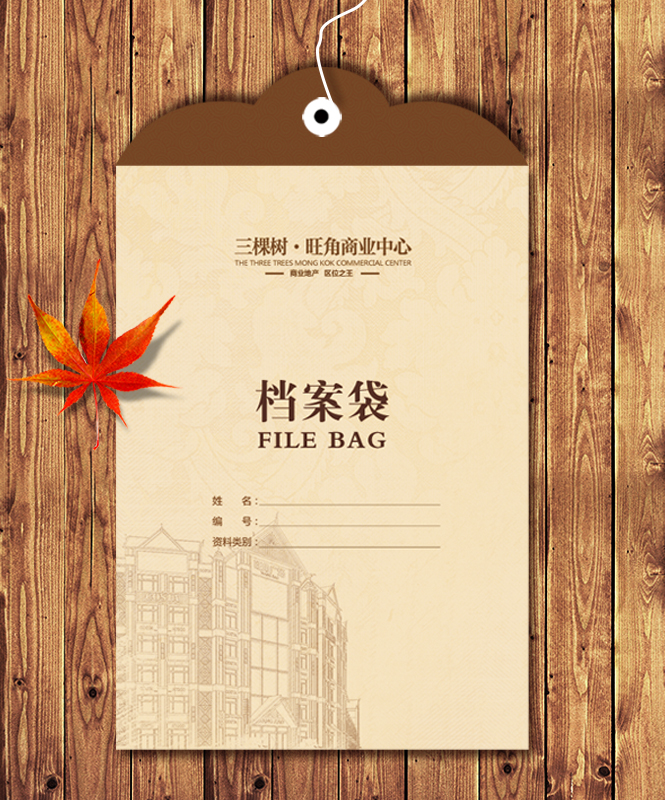檔案袋生產(chǎn)廠家,檔案袋多少錢(qián),公司檔案袋_印無(wú)憂設(shè)計(jì)印刷廠