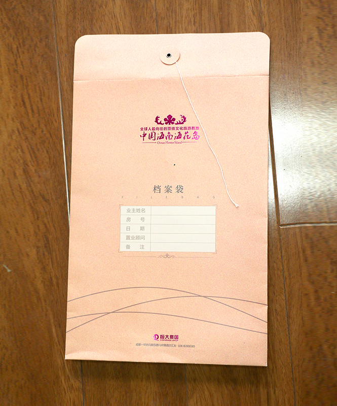 檔案袋生產廠家,檔案袋多少錢,公司檔案袋_印無憂設計印刷廠